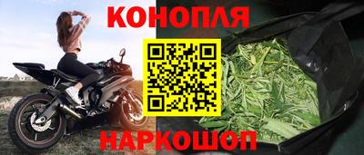 ешки Усть-Илимск