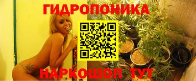 ешки Усть-Илимск