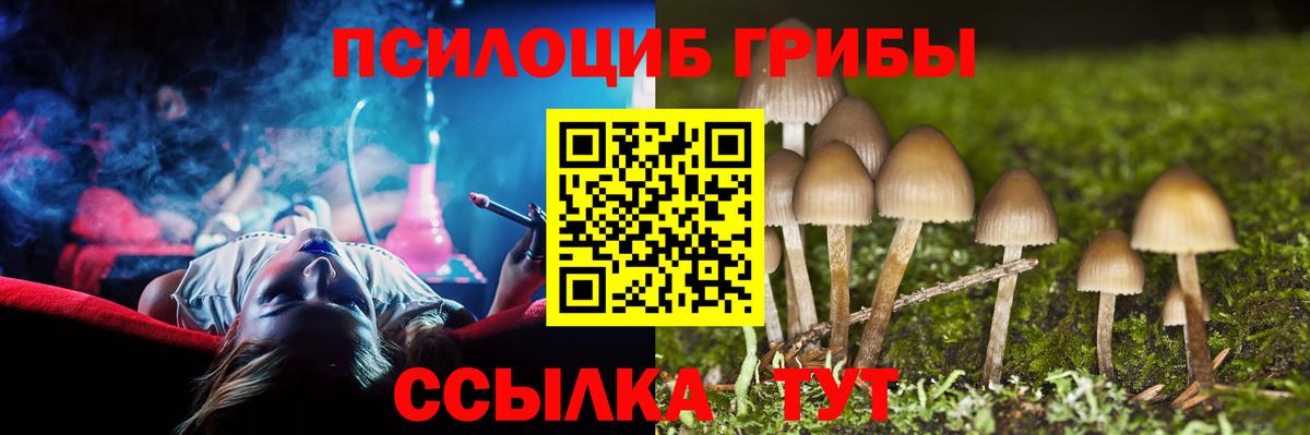 Галлюциногенные грибы мицелий Мариинск